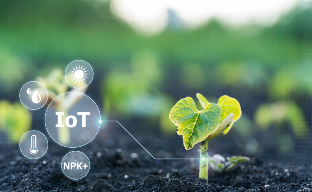 Revolutionizing Agriculture with LoRaWAN Sensors and Weather Stations
