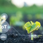 Revolutionizing Agriculture with LoRaWAN Sensors and Weather Stations